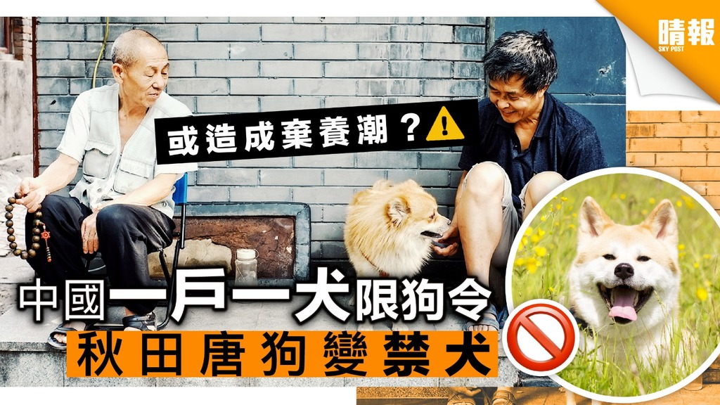 中國「一戶一犬」限狗令 禁養大型犬恐攘棄養潮