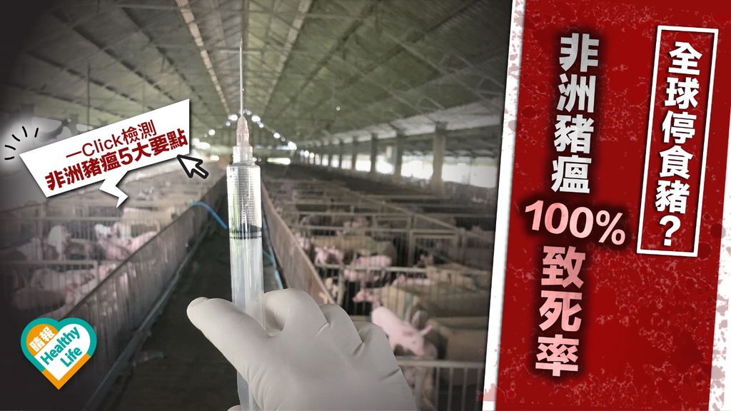 全球無豬食? 非洲豬瘟5大要點即時檢測
