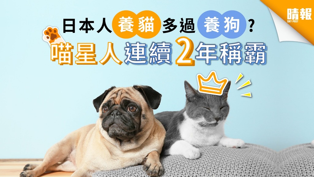 日本人養貓多過養狗? 喵星人連續2年稱霸