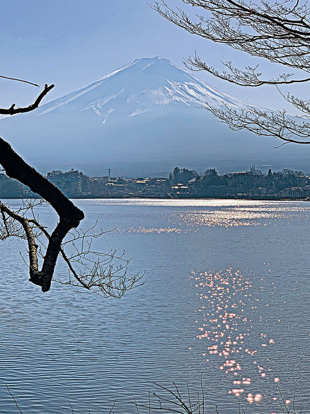 河口湖觀富士山 一眼窺全貌 一剎鑄永恒