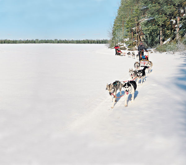 芬蘭沃卡蒂 平玩雪地活動