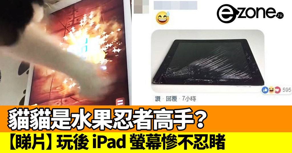 貓貓是水果忍者高手 玩後ipad 螢幕慘不忍睹 Ezone Hk 網絡生活 網絡熱話 D