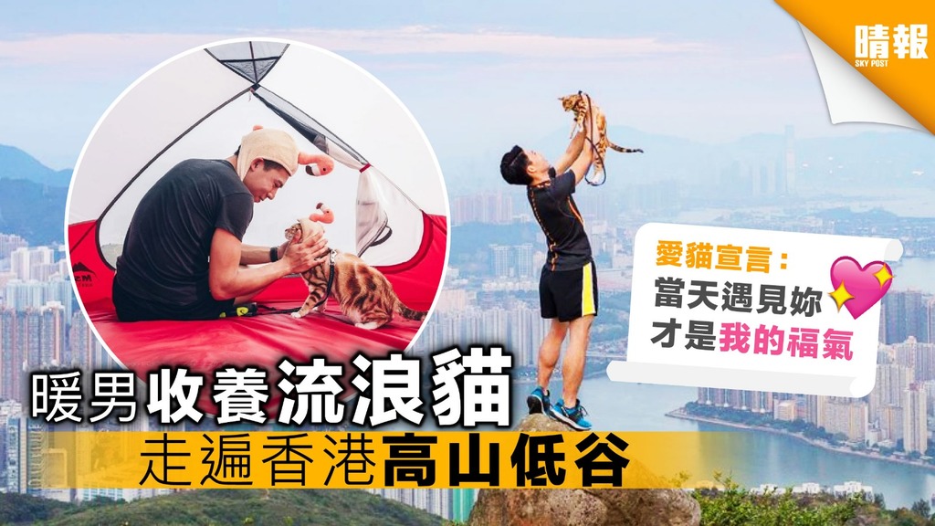 暖男收養流浪貓 走遍香港高山低谷