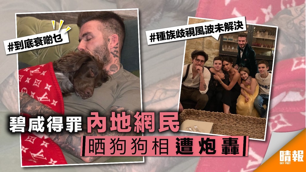 碧咸得罪內地網民 晒狗狗相遭炮轟