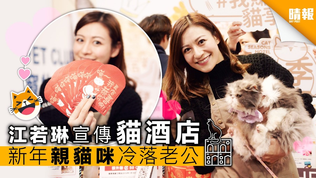 江若琳寵物節宣傳貓酒店 新年為貓咪冷落老公