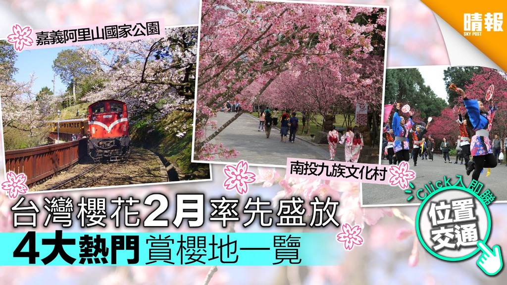 【附前往方法】台灣櫻花2月率先盛放 4大熱門賞櫻地一覽