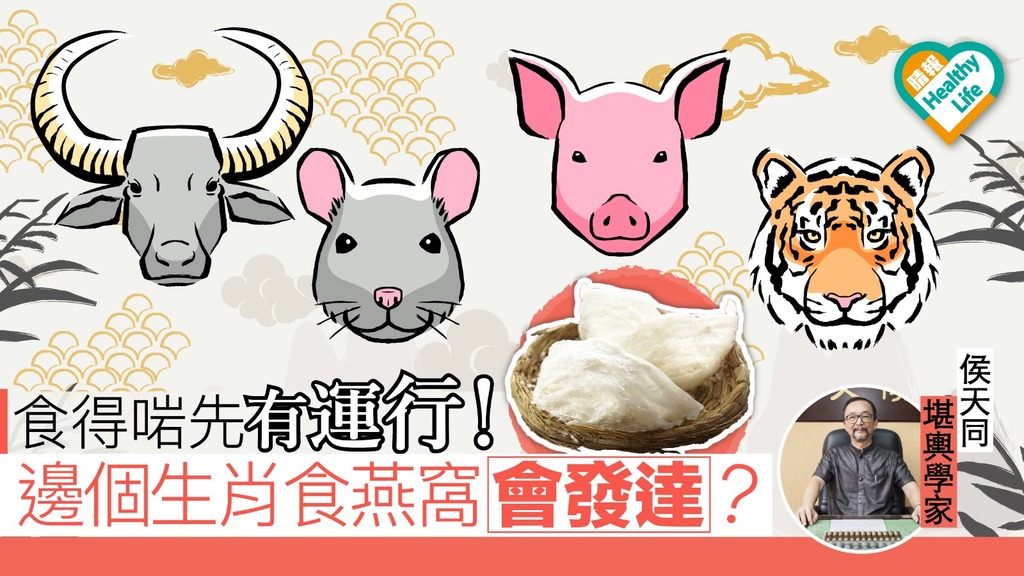 【2019 12生肖豬年運程】想增運就要選擇對的食物 (一)