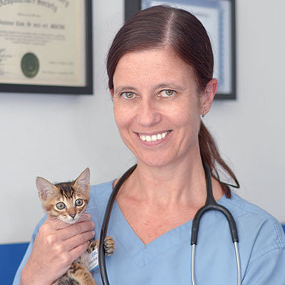 毛孩健康 清潔劑抹地好穩陣 主子條命隨時凍過水 晴報 寵物 寵物熱話 D1901