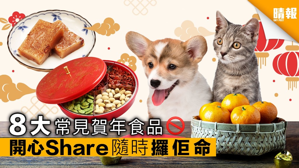 【寵物安全】8大常見賀年食品 主子邊D唔食得？