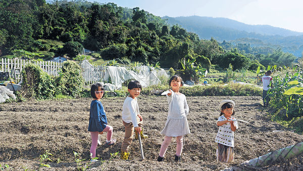 親子種米周末遊 體驗粒粒皆辛苦