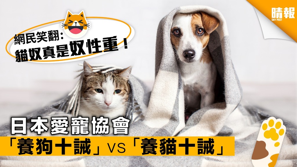 日本愛寵協會公佈「養狗十誡」及「養貓十誡」風格差很大！