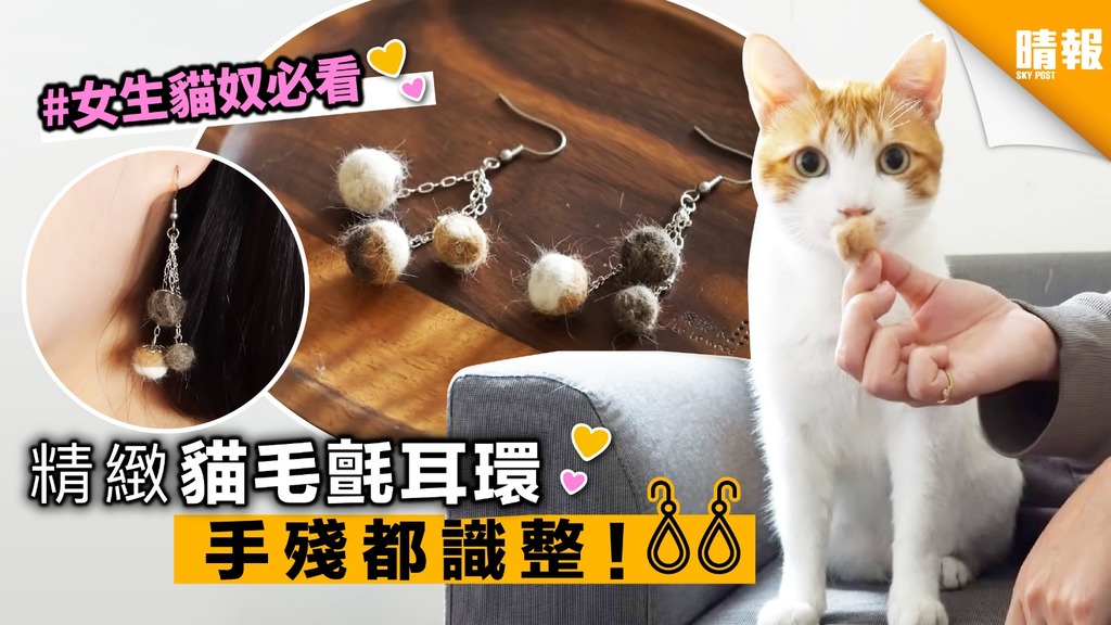 【內有影片教學】用貓咪廢毛，製成獨一無二小耳環