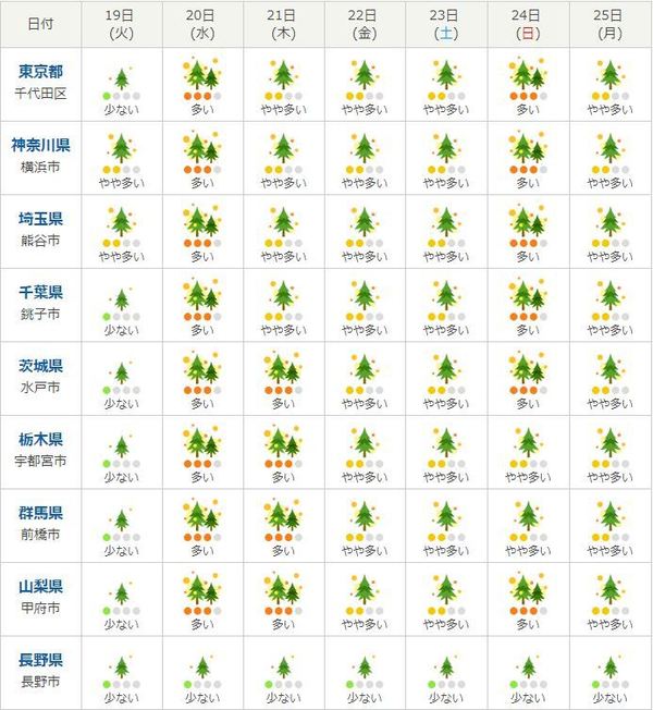 花粉量10年最高日本賞櫻小心花粉過敏 晴報 健康 呼吸道疾病 D
