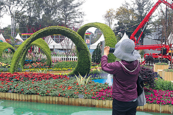 維園下月花卉展 今起售票