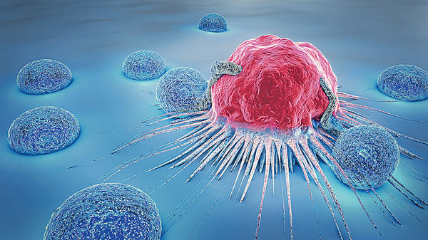 研細胞自我修復機制 助抗癌