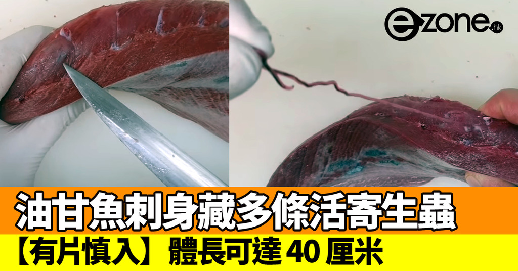 油甘魚刺身藏多條活寄生蟲體長可達40 厘米 Ezone Hk 網絡生活 生活情報 D