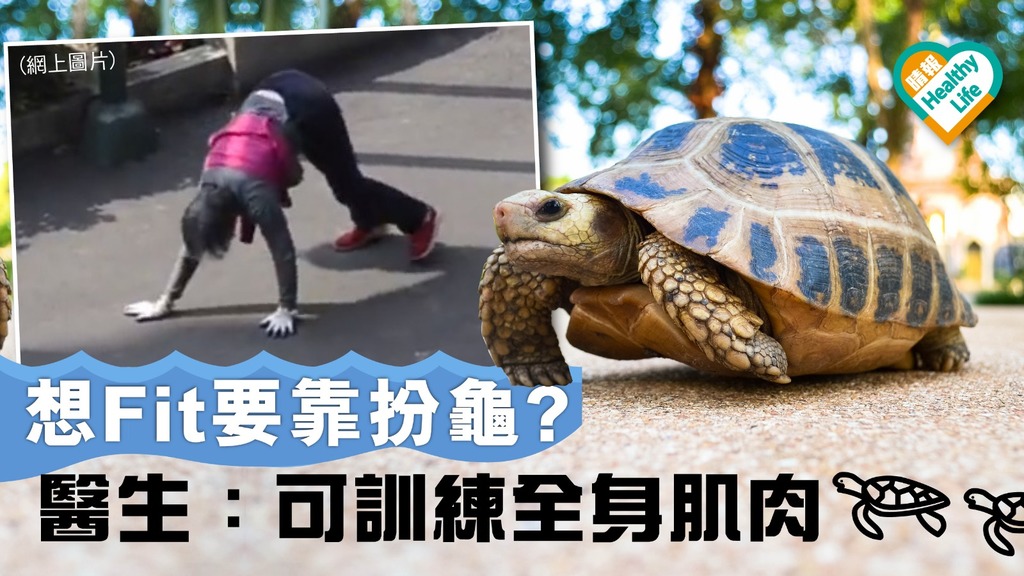 想fit要靠扮龜? 醫生：可訓練全身肌肉