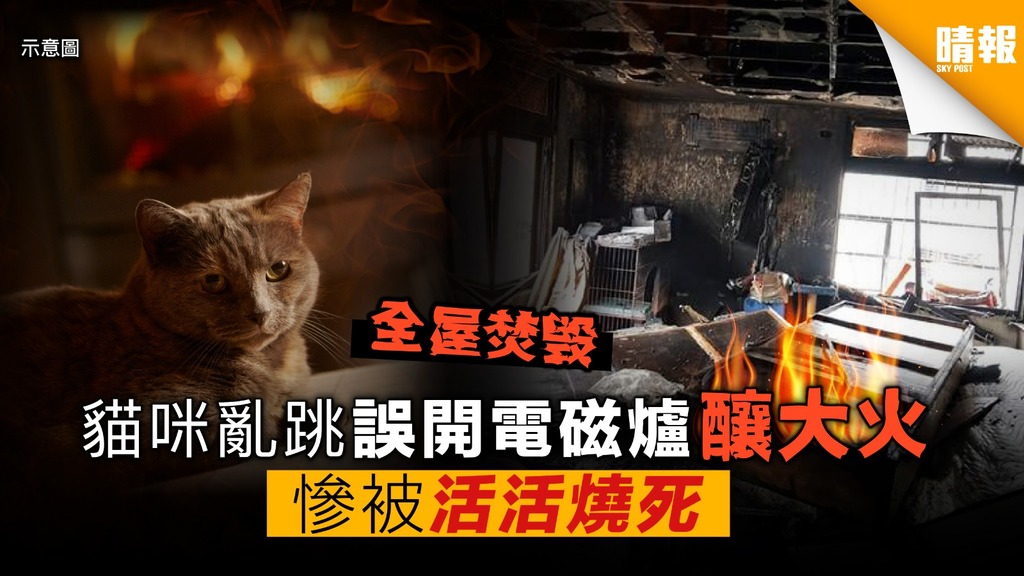 貓咪亂跳誤開電磁爐釀大火 全屋焚毁 貓咪慘被活活燒死