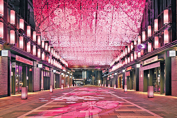 日本橋櫻花祭 結合數碼藝術