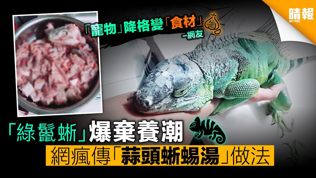  網上瘋傳「蒜頭蜥蜴湯」 寵物降格變「另類食材」