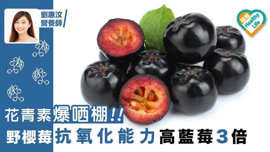【抗氧化新星】野櫻莓抗氧化能力高藍莓3倍