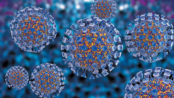 「打開」HIV病毒包膜 研愛滋病療法