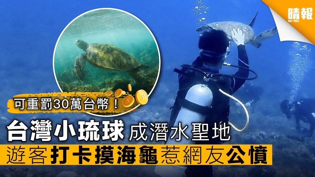台灣小琉球成潛水聖地 遊客打卡摸海龜 惹網友公憤