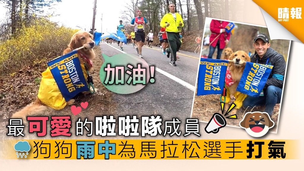 最可愛的啦啦隊成員 狗狗雨中為馬拉松選手打氣