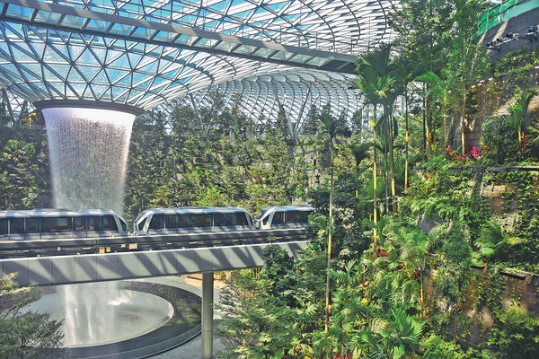 新加坡機場星耀樟宜 全球最高室內瀑布