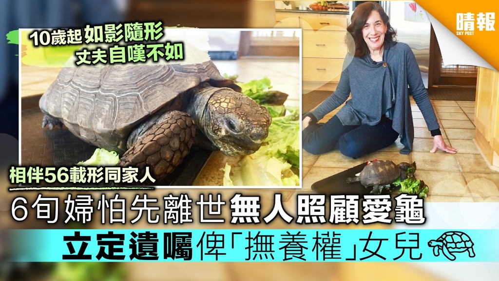 【人龜情未了】10歲時獲父親贈寵物烏龜 相伴婦人56載形同家人