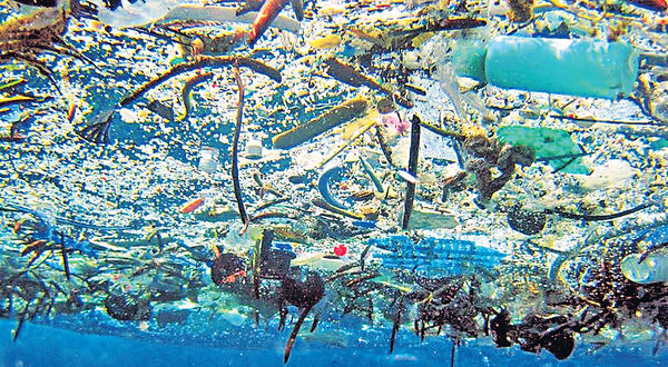 海上漂浮 膠怪物