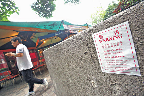 專家料大鼠戊肝 人傳人機會不大