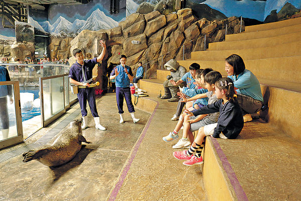 海洋公園暑期動物體驗營 零距離學做護理員