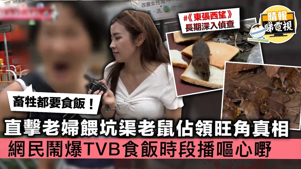 【東張西望】直擊老婦餵坑渠老鼠佔領旺角真相 網民鬧爆TVB食飯時段播嘔心嘢