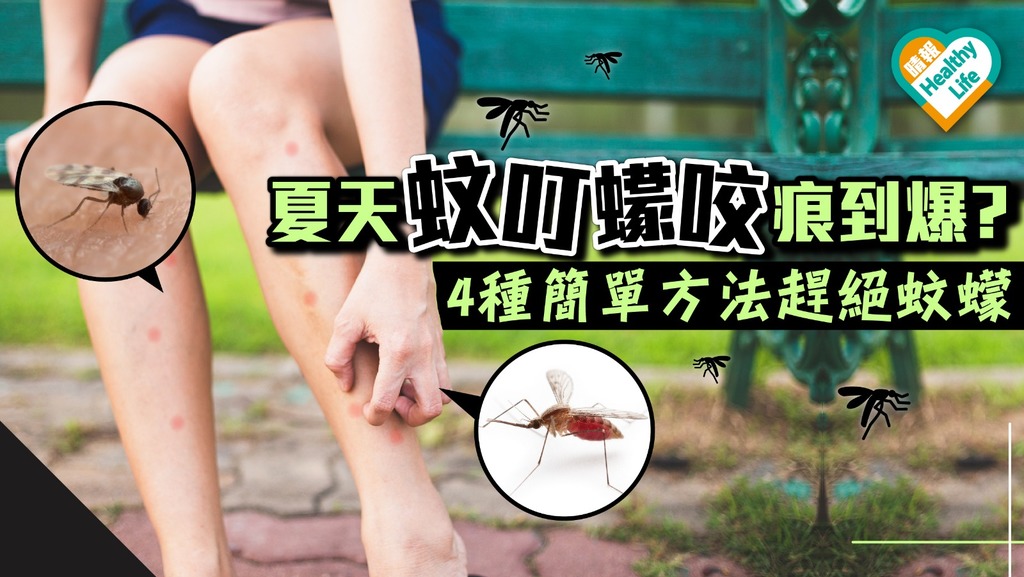 夏天蚊叮蠓咬痕到爆？4種簡單方法趕絕蚊蠓【蟲出沒】
