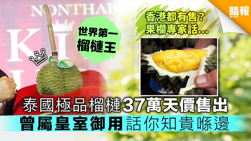 【世界第一榴槤王】泰國極品榴槤37萬天價售出 曾屬皇室御用話你知貴喺邊