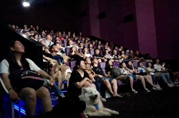 戲院邀過百狗狗齊看電影職員 仲安靜過人 晴報 寵物 寵物熱話 D