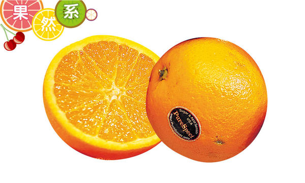 橙增免疫力降血脂
