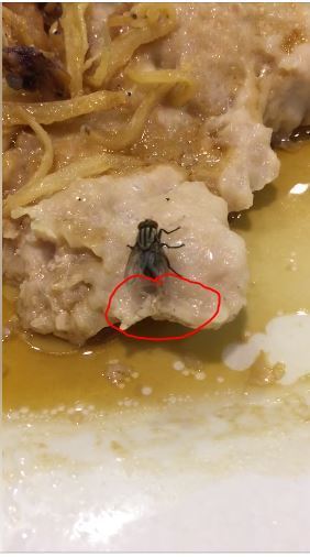 「肉蝇类幼虫孪生於腐肉,腐尸上」,「上生物堂」,「作呕!