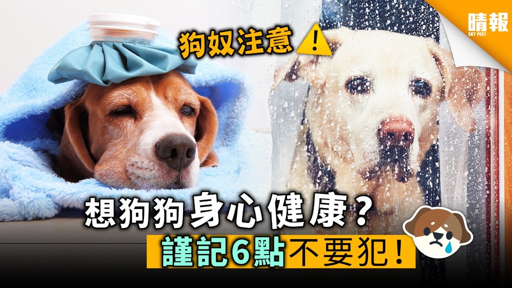 【晴報動物百科】想狗狗身心健康? 謹記6點不要犯！