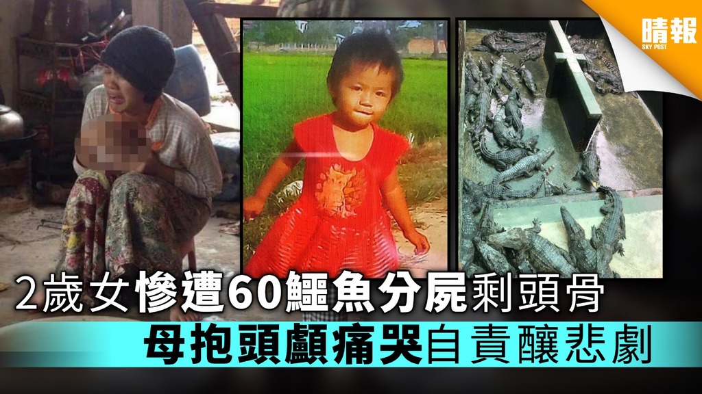 2歲女慘遭60鱷魚分屍剩頭骨 母抱頭顱痛哭自責釀悲劇