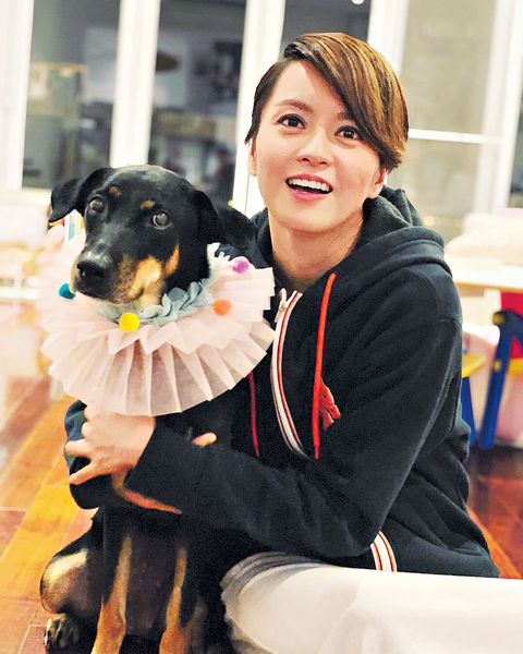 為導盲犬協會籌款 Gigi楊采妮齊曬愛犬合照