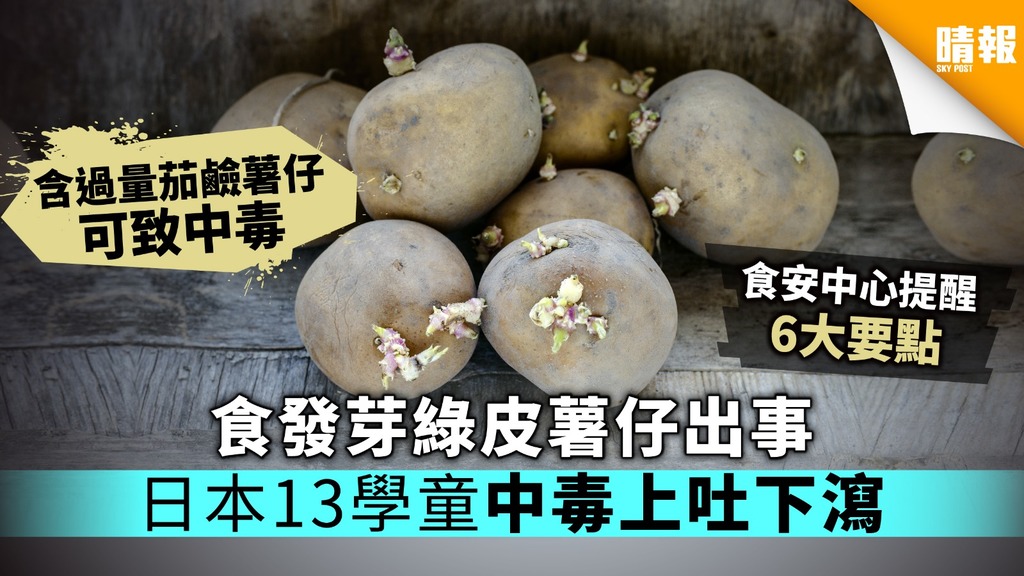 食發芽綠皮薯仔出事 日本13學童中毒上吐下瀉