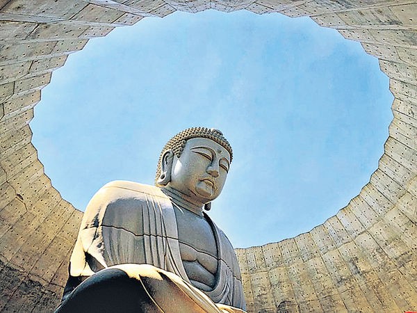 生死紫花「頭大仏」