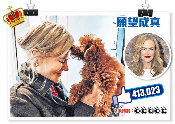 星級愛寵 妮歌潔曼獲愛犬深情一吻