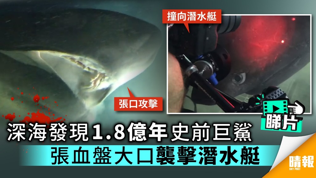 深海發現1.8億年史前巨鯊 張血盤大口襲擊潛水艇
