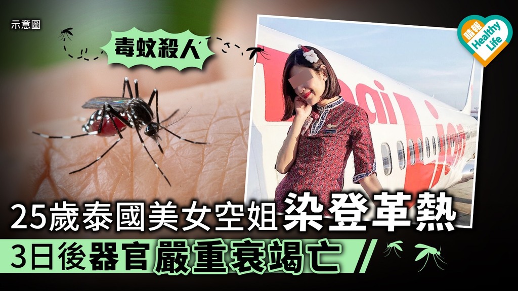 【毒蚊殺人】25歲泰國空姐染登革熱 3日後器官嚴重衰竭亡