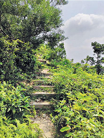 男子西貢赤徑遠足失蹤 救援人員陸空搜索