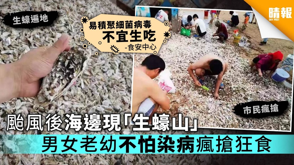 颱風後海邊現「生蠔山」 內地民眾瘋搶狂食專家提醒易染病