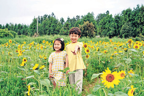 濟州打卡遊花園 手作乾花體驗